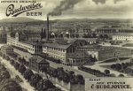 Brasserie Budweiser