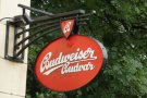 Budvar Budweiser